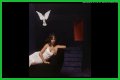 PinkPantheress's True Identity And Romantic Journey Explored